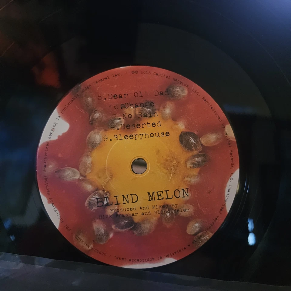BLIND MELON- SELF TITLED VINYL LP  *SEE DESCRIPTION BEFORE SUBMITTING OFFER* Foto 2 de 3