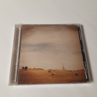 NEW BRONWYN THROUGH THE FOG  THROUGH THE PINES CD greyday 2003 rock gpd004 album