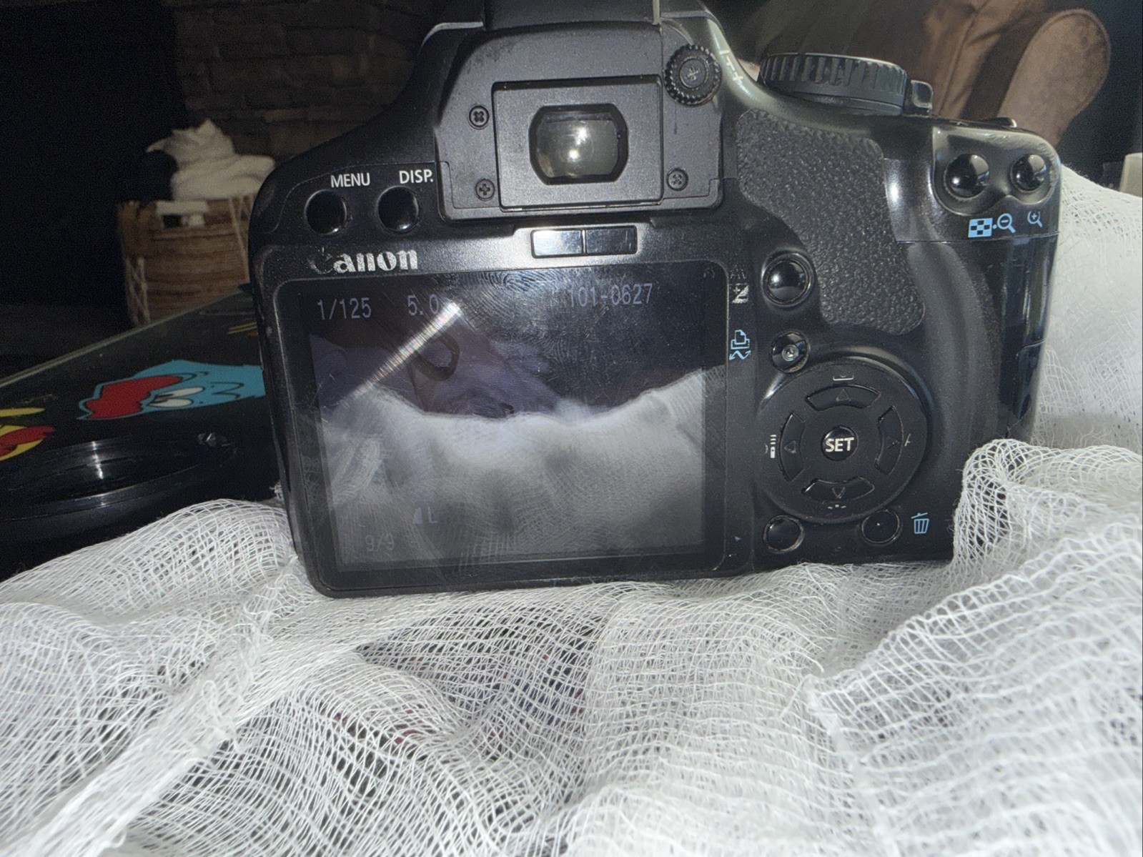 Bild 9 von 12