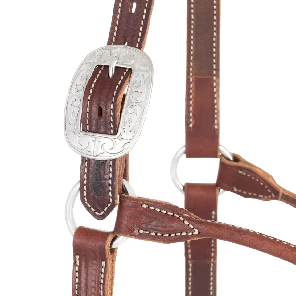 Halter Stacy Westfall Bronc, 1", marrón promedio Foto 2 de 4