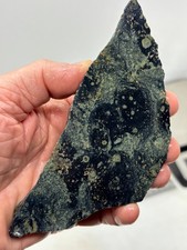 Kambaba Jasper Stromatolite Slab Lapidary Cabbing Combo Ship Avail