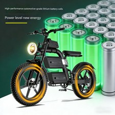 1500W 60V 40AH 20in Fat Tire Electric Bicycle Ebike for Adult Dual Motor 68km/h