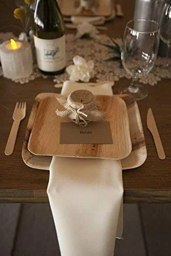 | 25 Stück Einweggeschirr biologisch abbaubar aus Palmblatt 15x15 cm biologis... - Bild 4 von 4