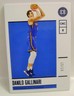 DANILO GALLINARI #15 /15 BASE CARD ENCASED PANINI BASKETBALL 2019-2020