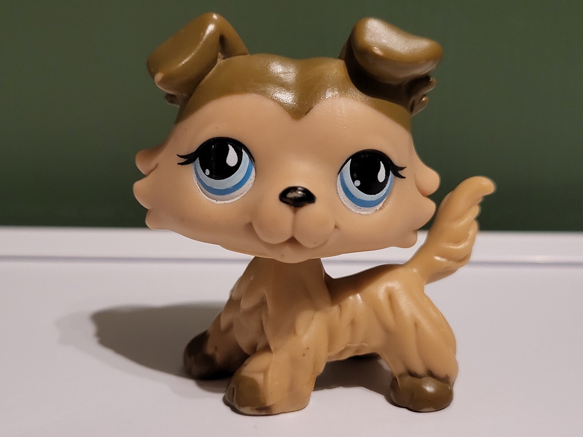Littlest Pet Shop Hasbro – Chien Colley N°363 – Authentique – Occasion
