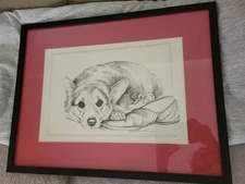 Corgi Dog Sketch Art Print Signed By Artist Polly Anna Pickering  Corgi Shoe
