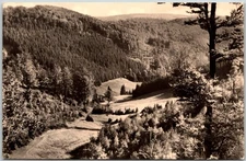 Frauenwald East Germany Tränkbachtal Scenic Forest View RPPC Postcard