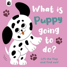 What is Puppy Going to Do (Volume 4) (Flap Flap) - Board book - VERY GOOD