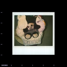 Old Polaroid Photo TEDDY BEAR STUFFED ANIMAL