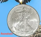 2008 $1 American Silver Eagle, .999 Pure Silver BU Major Eye Appeal Fast 🚢