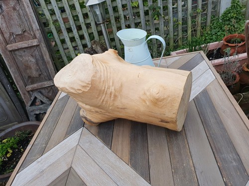 Wooden natural organicSculpture Modernist Abstract garden/reptile Unique Piece - Picture 10 of 12