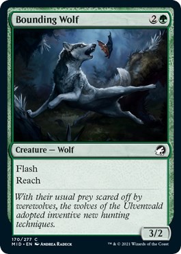 NM - Bounding Wolf [MID - 170] Innistrad: Midnight Hunt