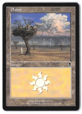 Plains 333 MTG ODY LP