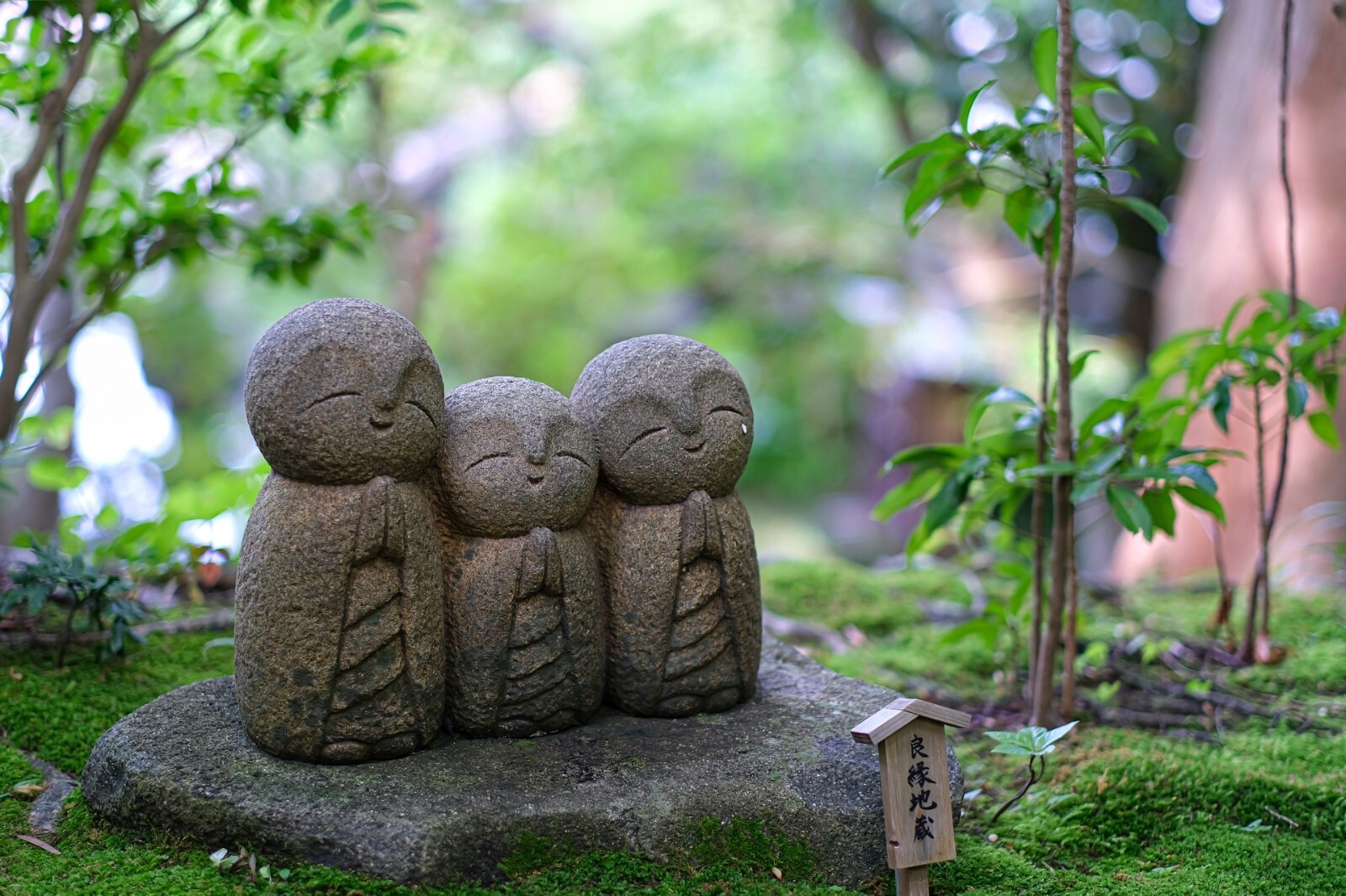 kamakura Fall foliage Omamori Rarity Hase-dera Temple Momiji Flower Amulet japan