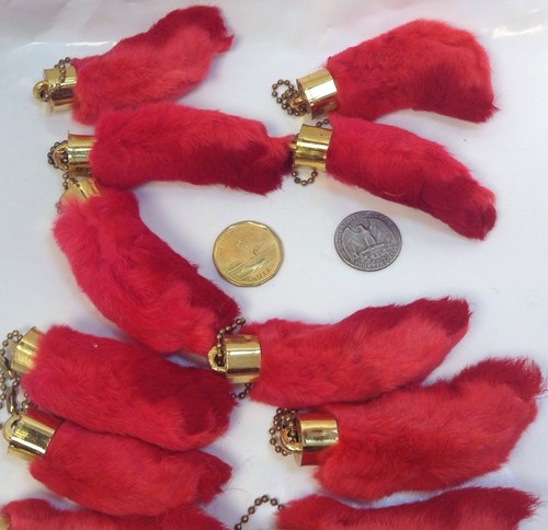 Llavero Real Rabbit Foot Lucky Amulet~ROJO~Verdadera Pata de Conejo Afortunada~ NUEVO - Imagen 8 de 12