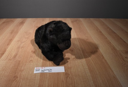 Peluche Gund Elvis el gorila marrón de las tierras bajas # 2611 (310-767) - Imagen 4 de 7