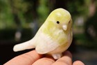 1pc Natural Lantian jade Quartz Carved Bird Skull Crystal Reiki Decor Gift 2.4'