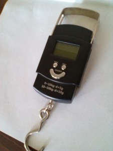 Digital Hanging Scale: Specification 50 KG/10G (2 AAA Batteries Needed)