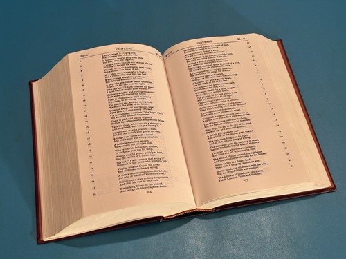HEILIGE BIBEL IN MODERNEM ENGLISCH ~ Ferrar / Fenton ~ Destiny Pub. ~ GROSSDRUCK 1966 - Bild 10 von 11
