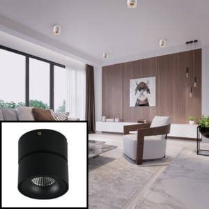 12w Adjustable Ceiling Mounted Led Downlight Saa Driver 100 100m