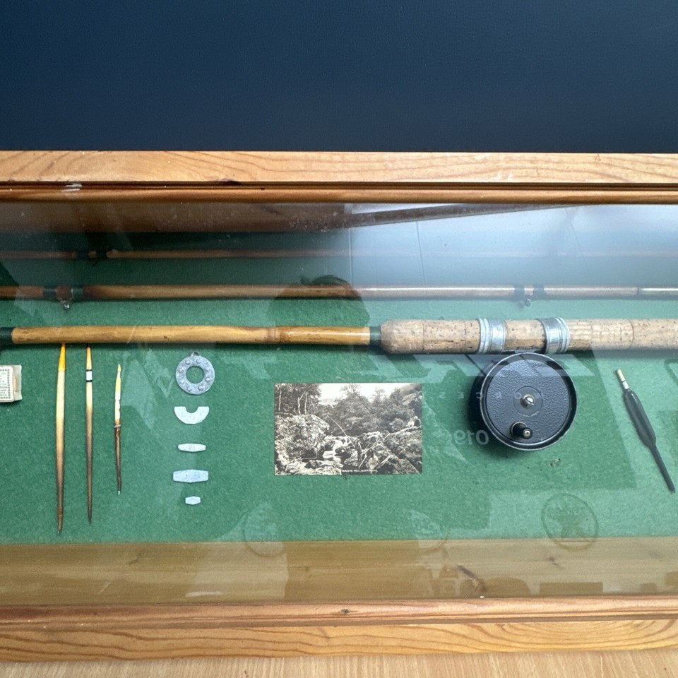 Fly Fishing Display Case eBay