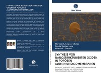 Marcelo A. Salguero Salas (U. A.) | Synthese Von Nanostrukturierten Oxiden In...