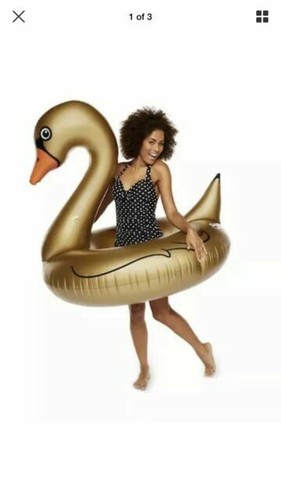 golden goose pool float