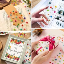 300 PCS Small Dried Flowers for Crafts - Mini Dried Flowers for Resin, Tiny N...