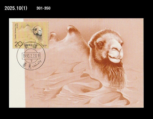 Camel,Animal,desert,China 1993 Maximum Card