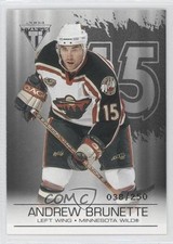 2003-04 Pacific Private Stock Titanium Retail Jersey Number Andrew Brunette 0a4