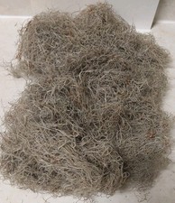 Live Spanish Moss from Florida - 1 Gallon size - Air Plant