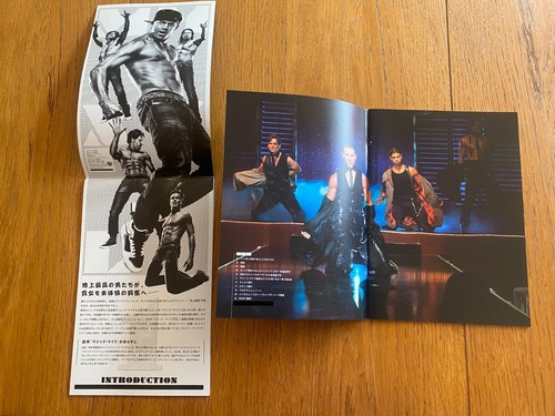MAGIC MIKE / XXL Japan PROGRAM x2 mini-poster x2 Channing TATUM M.McCONAUGHEY - Picture 5 of 13