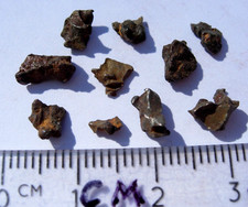1.59 grams Imilac Meteorite as found Iron Pallasite fragments with a COA