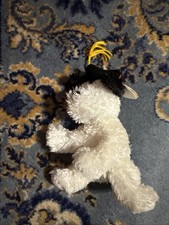 TY Beanie Baby "Congrats" Graduation Puppy Dog 2008 Plush 8" - With Tags - White