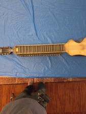 Dilruba W/ How Not Pictured