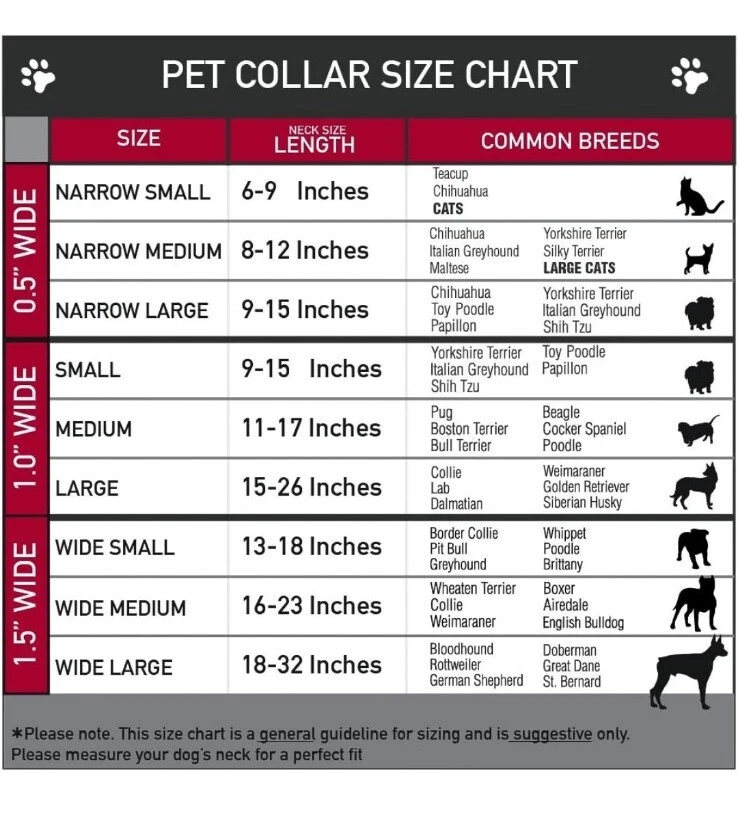 Cuello con clip de plástico con hebilla bandera americana EE. UU. elástico 1" de ancho 15-26 grande Foto 3 de 4