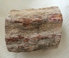 Bild 7 von 7