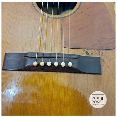 Acoustic Guitar Epiphone FT-79 1951 Pre-Texan Natural Made in New