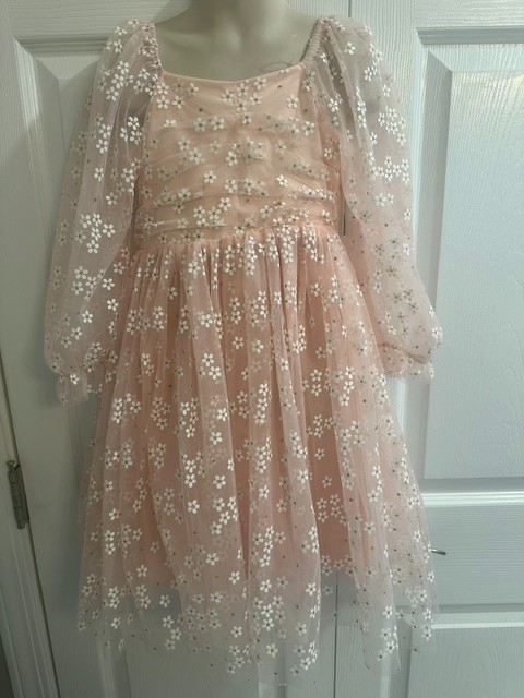 Girls Size 5-6 Pink Floral Party/Formal Long Sleeve Dress