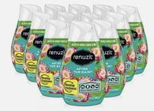 Renuzit 7 Ounce(s) After the Rain Air Freshener 12 -Pack