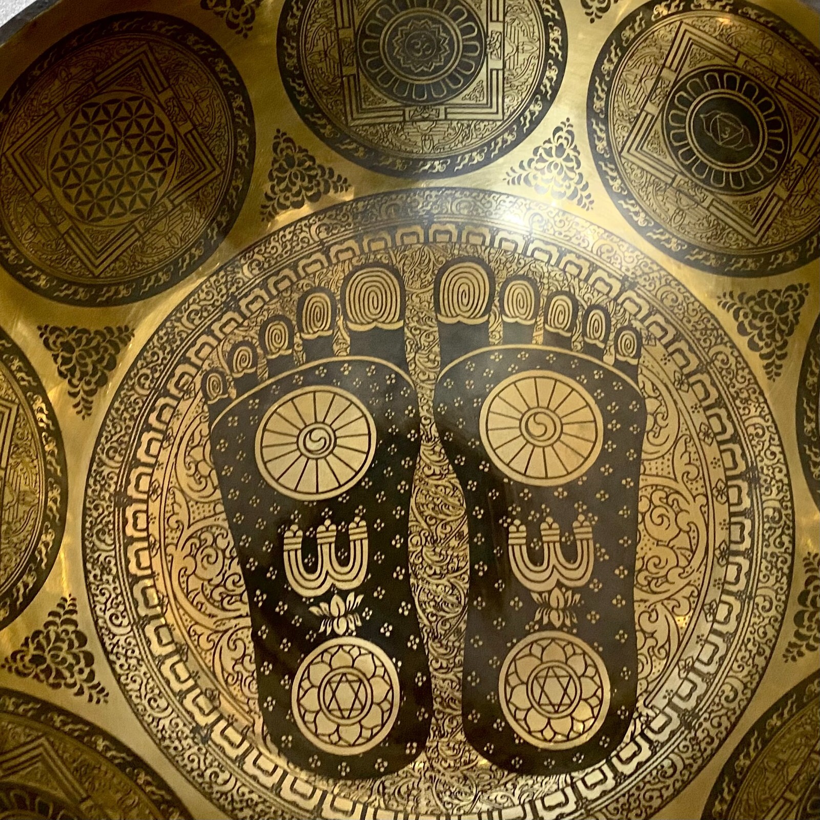 Picture 5 of 7