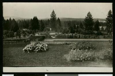 Flower Patches On The Grounds Of The Empire Mine In Grass Valley  - Old Photo