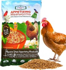 Dried Mealworms 5 LB, 100 Natural Meal Worms for Chicken  Birds, Organic Chick