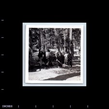 Old Square Photo MEN WOMEN CAMPING IN FOREST CLASSIC CAR TRAILER