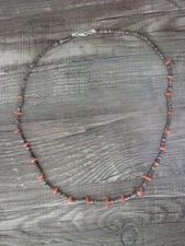Native American 17" Santo Domingo Spiny Oyster Heishi Necklace - Calabaza