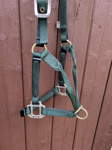 2 x Collares de control, Arma y artesanía de cabaña - Ambos tamaño pony *Envío gratuito* - Imagen 3 de 4