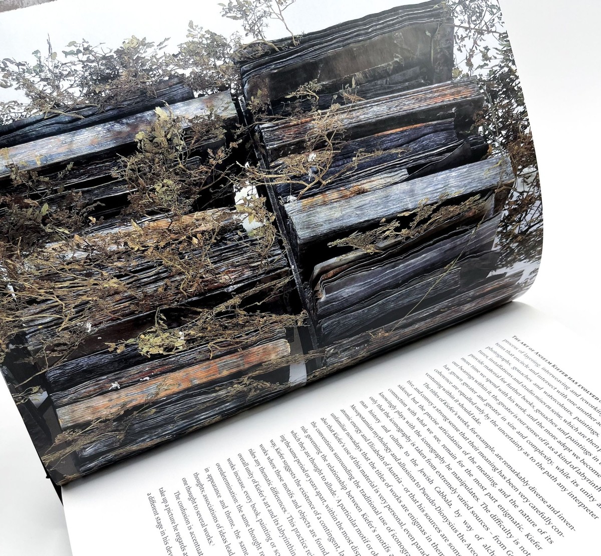 アート・デザイン・音楽 Anselm Kiefer Daniel Arasse Daniel Arasse / Anselm Kiefer 2001 | eBay