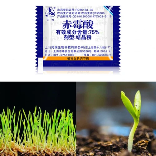 2 Bags Gibberellic Acid GA3 75% Water Soluble 920 Plant Growth Regulator Powder - Bild 1 von 5
