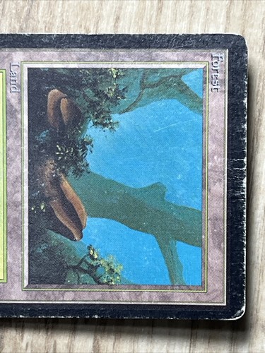 VTG MTG Forest - HP - Limited Edition Beta Magic the Gathering Card 300 - Picture 3 of 7
