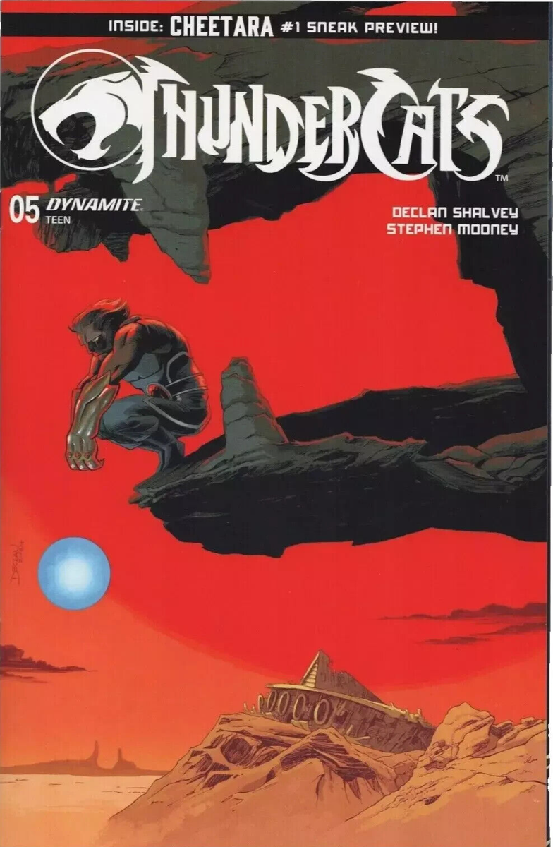 Thundercats #5 Dynamite Comics June 2024 Cover C Declan Shalvey Variant